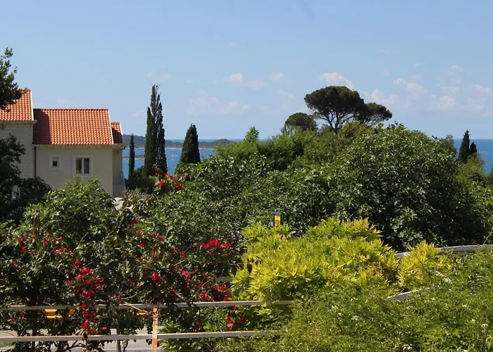 ゲストハウス And With Parking Space Mlini, Dubrovnik - 8835 ムリニ